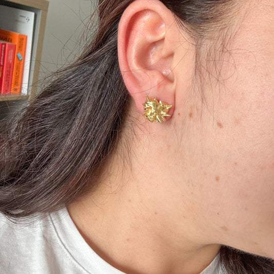 Pendientes Corazon espina