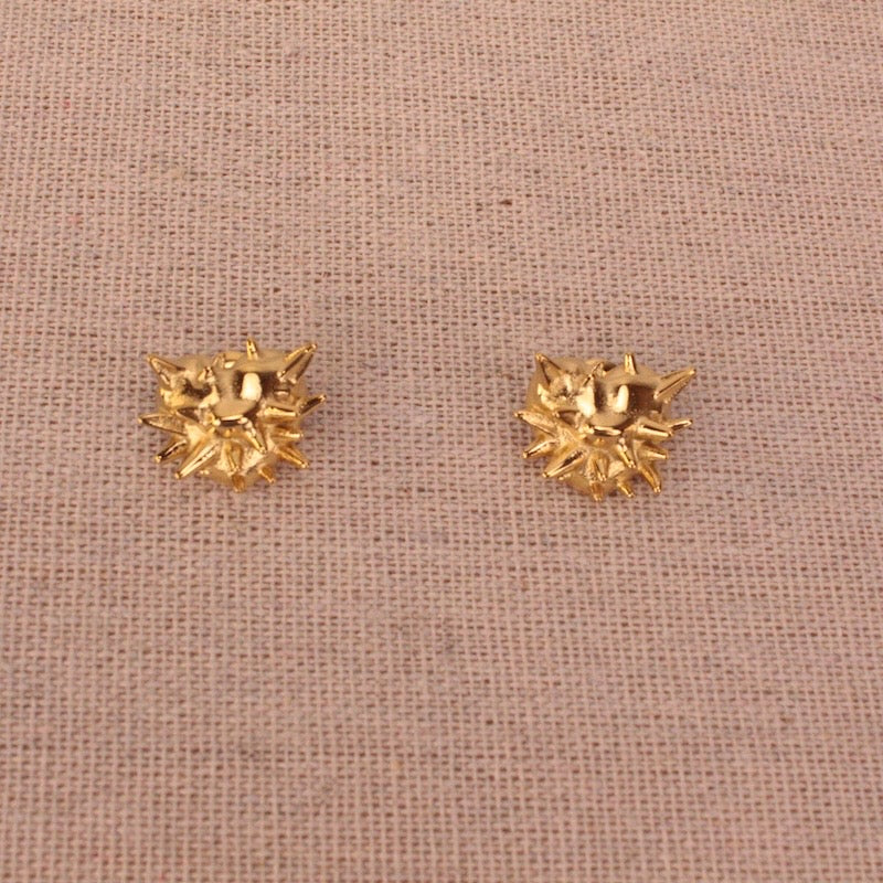 Pendientes Corazon espina