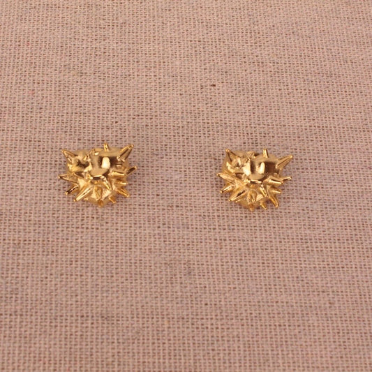 Pendientes Corazon espina