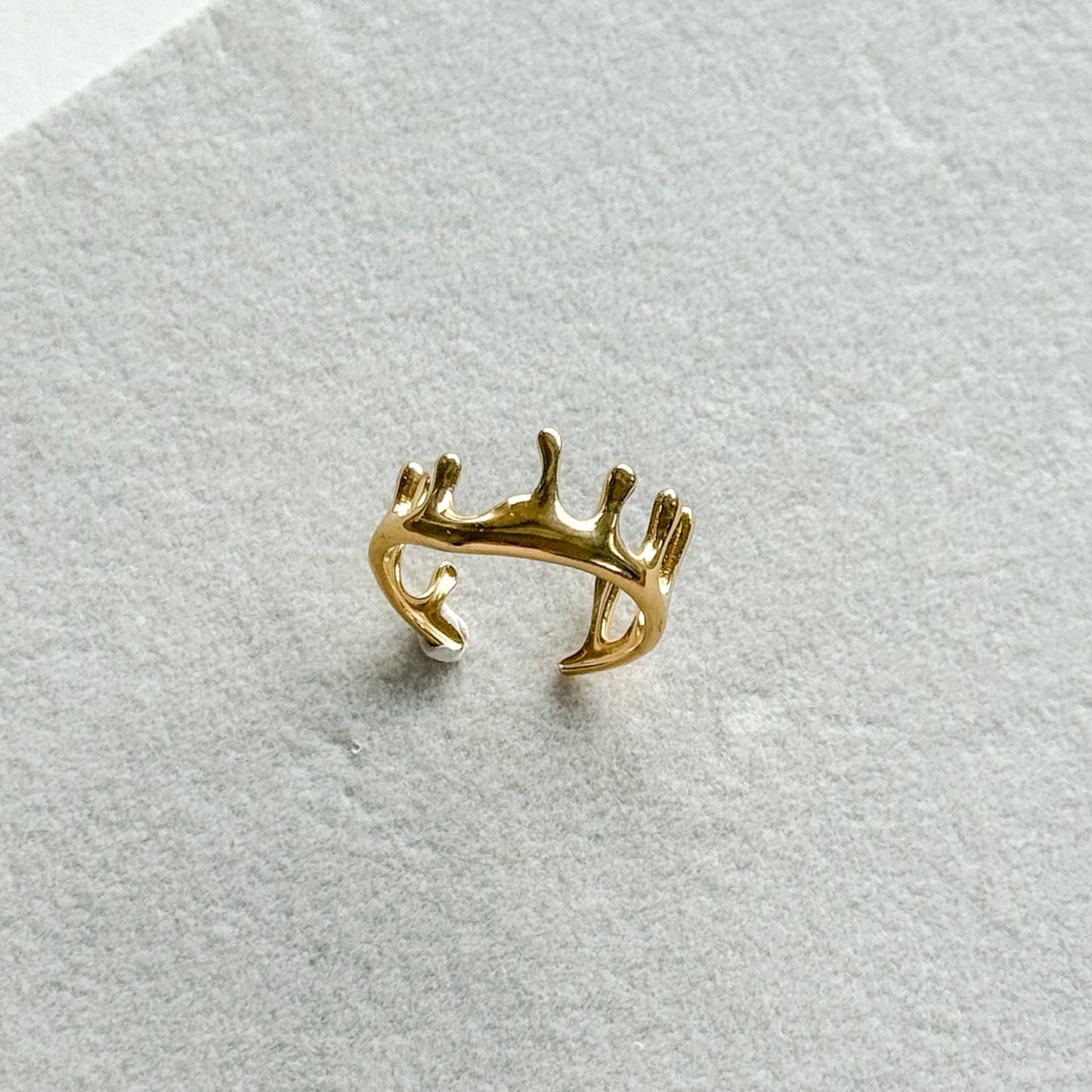 Anillo Melt